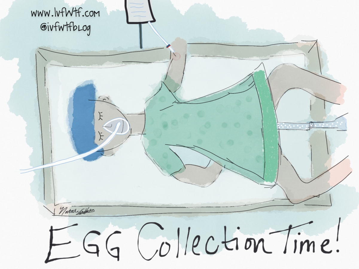 Egg Collection Time!