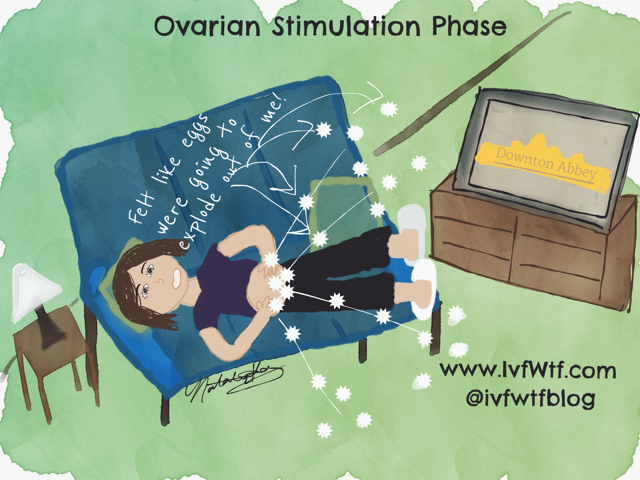 Ovarian Stimulation Phase